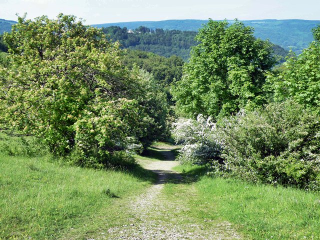 Wanderweg am Kreuzberg und Blick auf die Ruine Osterburg