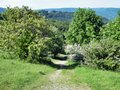 Wanderweg am Kreuzberg und Blick auf die Ruine Osterburg